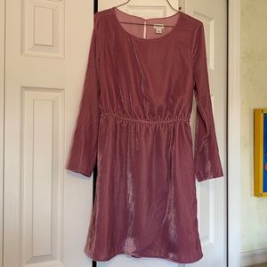 J.Crew Pink Velvet Dress